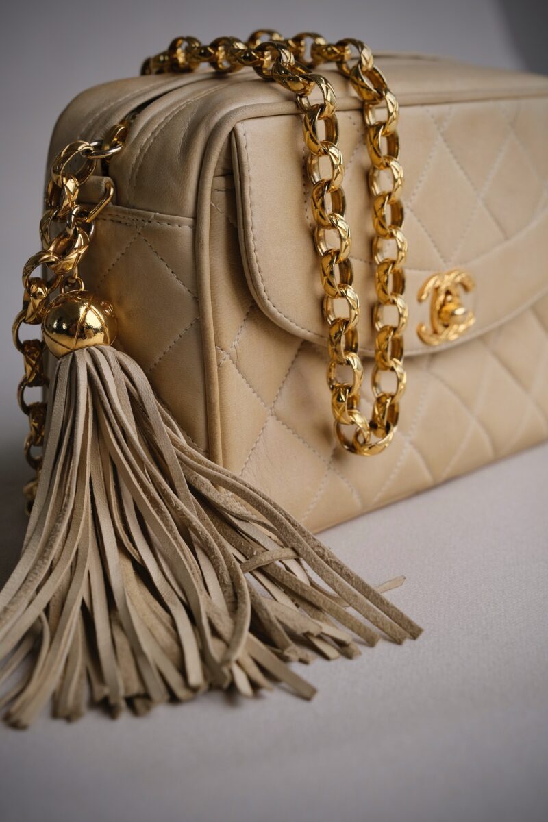 Chanel Small Diana Fringe Camera Bag