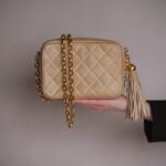 Chanel Small Diana Fringe Camera Bag