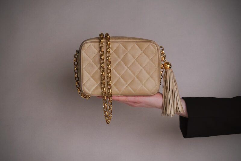 Chanel Small Diana Fringe Camera Bag
