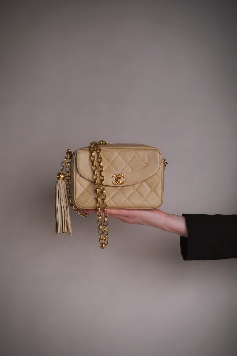 Chanel Small Diana Fringe Camera Bag